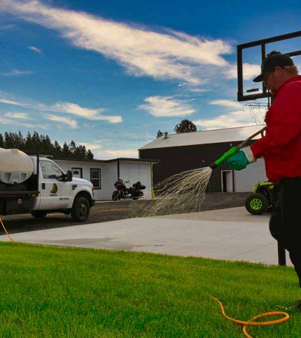 dundee lawn n spray service