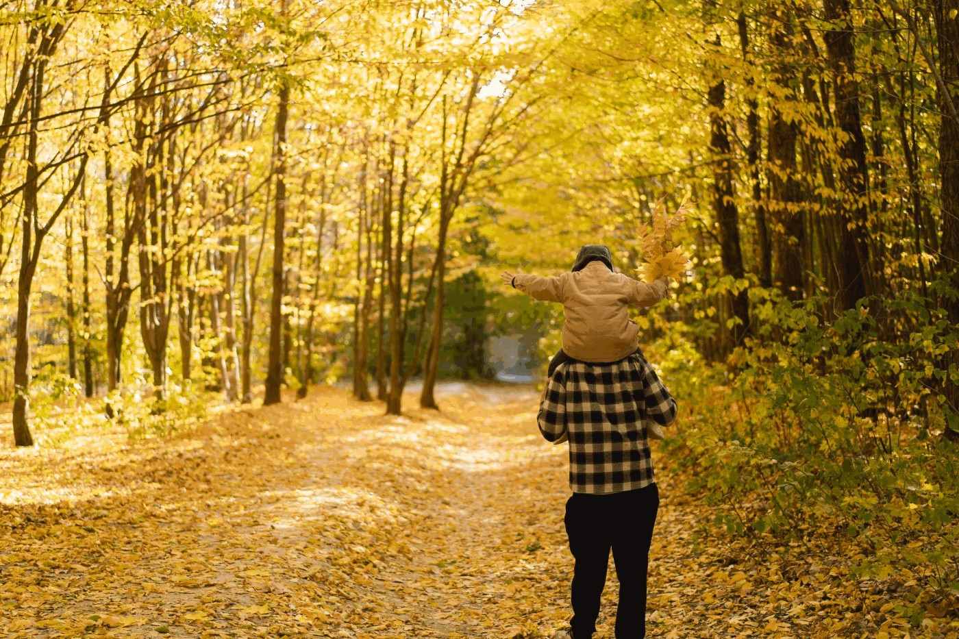 fall hike