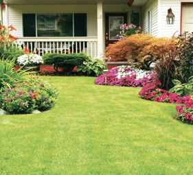 land services