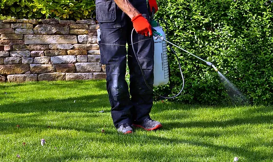 pest control and fertilizer pest control and fertilizer