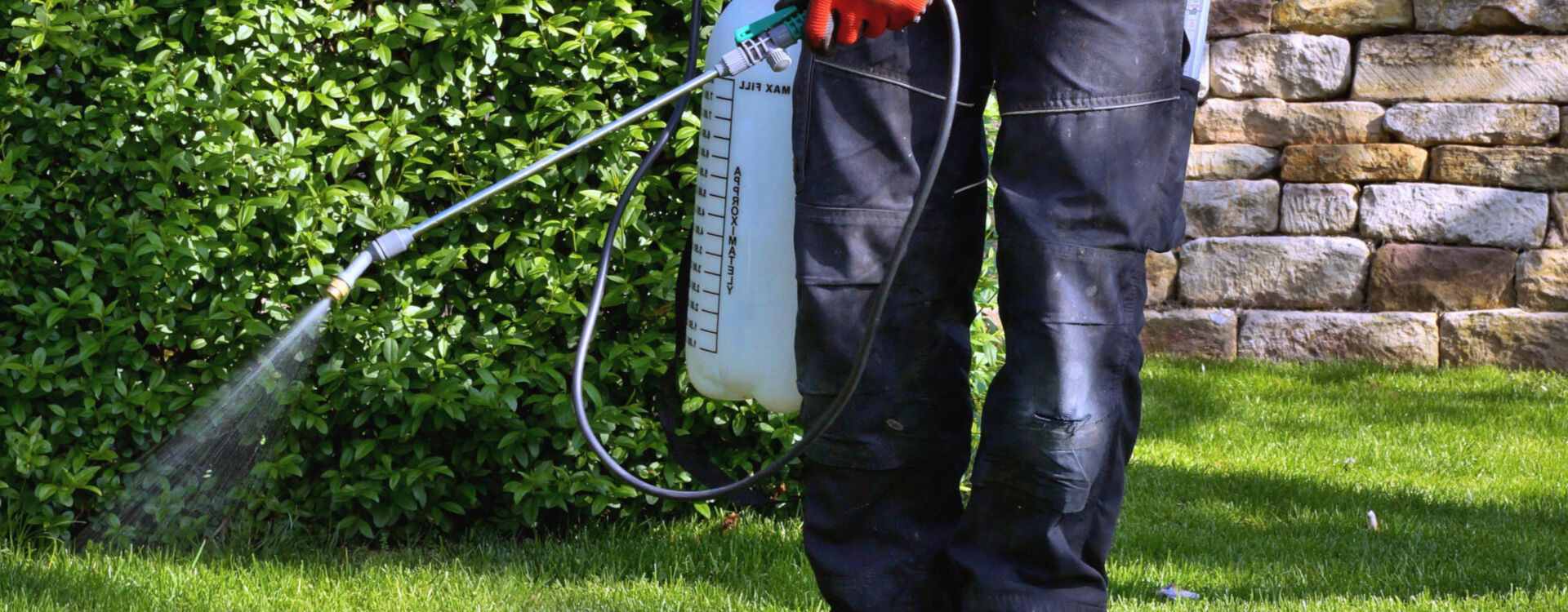 spray services spray services