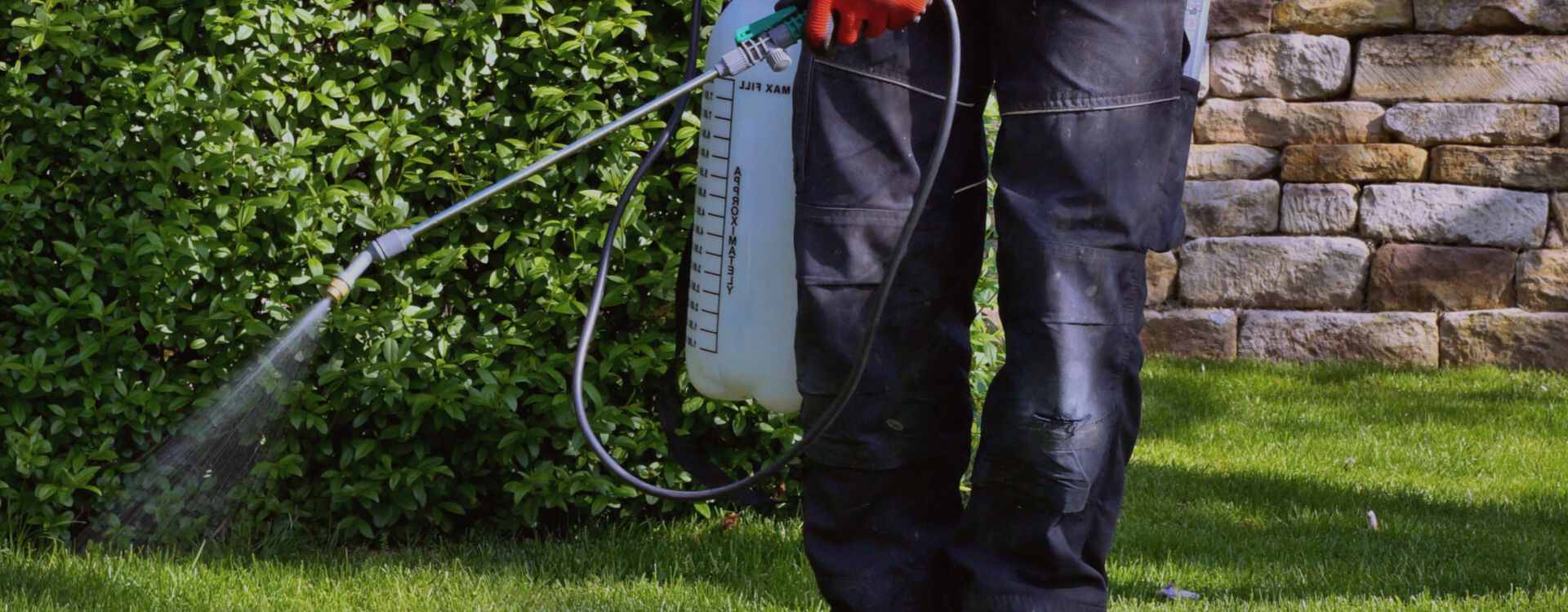 spray services