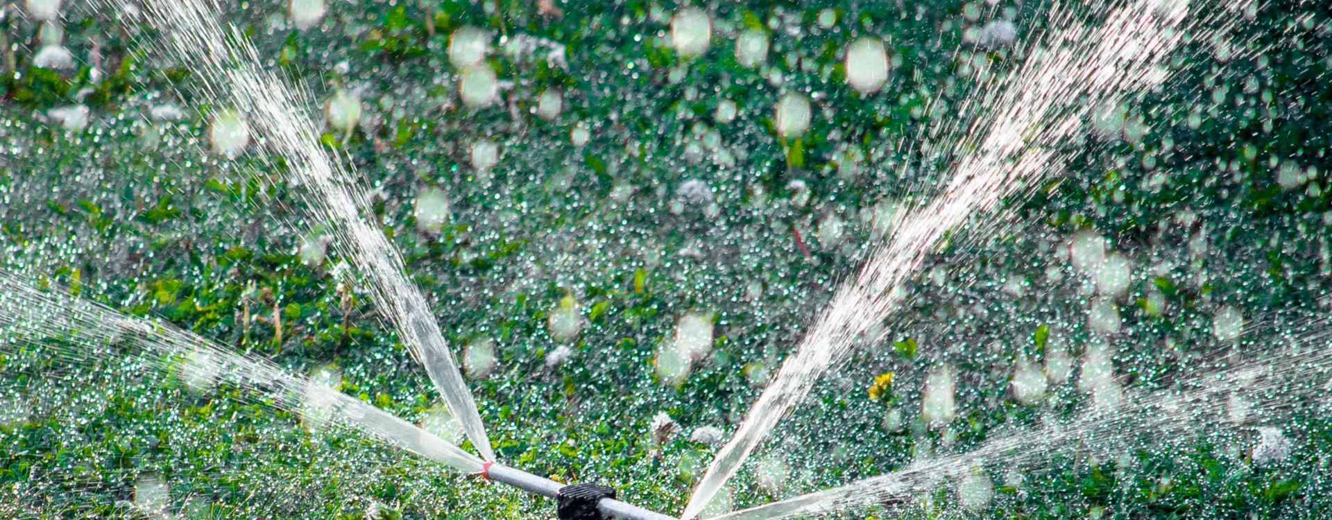 Sprinkler Blowouts for Residential and Commercial