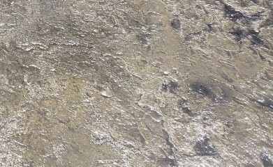 stamped concrete snapshot