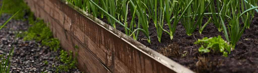 terraced garden beds