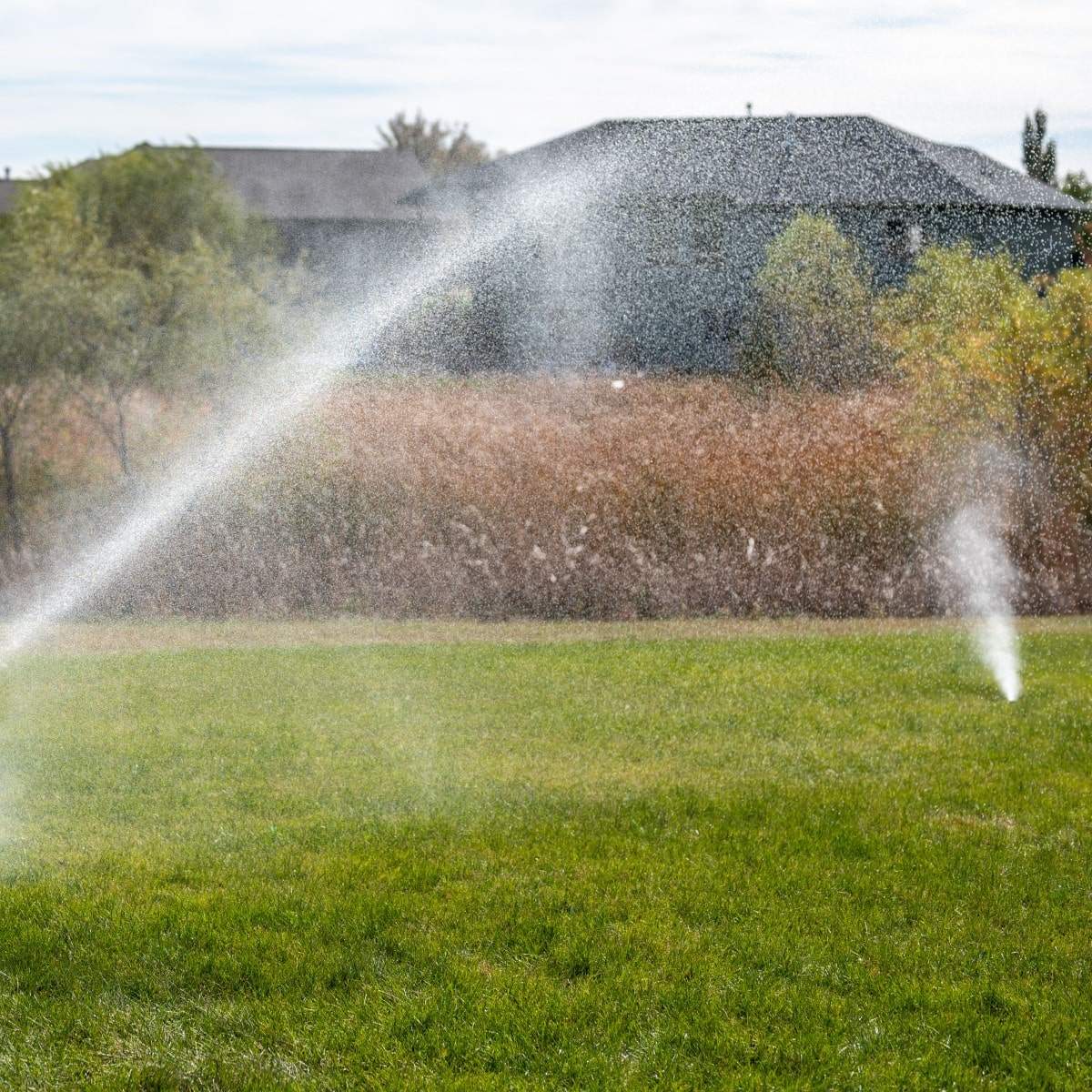 Extraordinary Sprinkler Blow Outs Photos